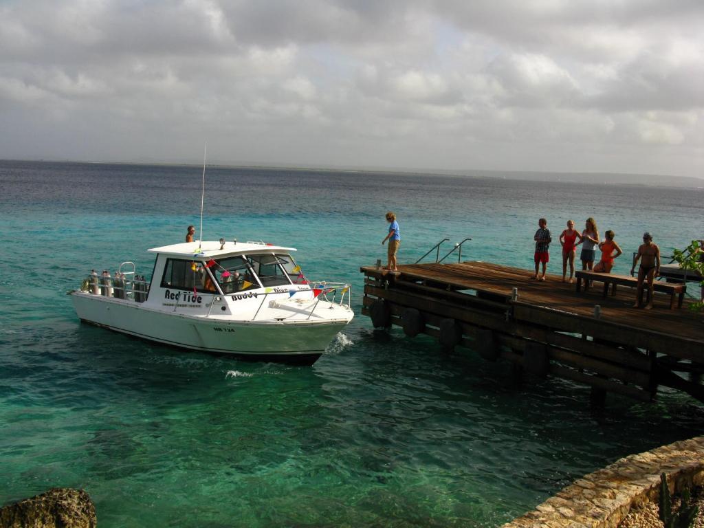 Belmar Oceanfront Apartments Bonaire Ngoại thất bức ảnh