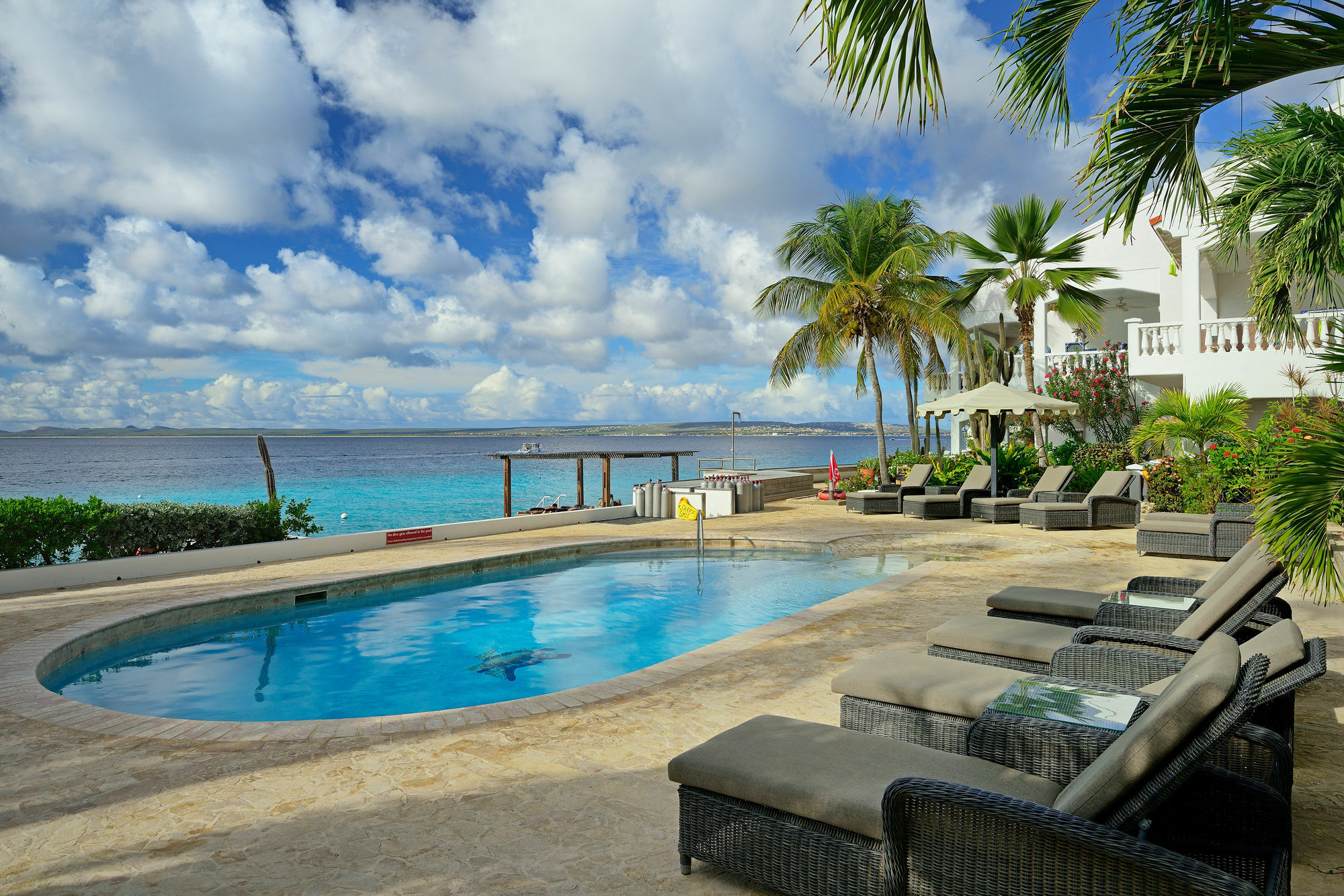 Belmar Oceanfront Apartments Bonaire Ngoại thất bức ảnh